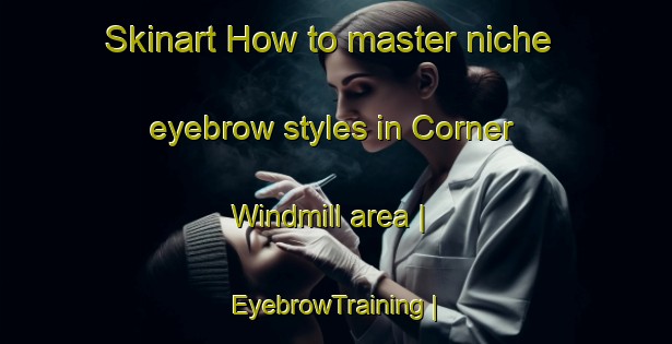 Skinart How to master niche eyebrow styles in Corner Windmill area | EyebrowTraining | EyebrowClasses | SkinartTraining-United States